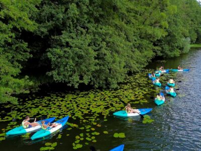 Grupa kajakarzy na spokojnym jeziorze wśród lilii wodnych i zielonych drzew.