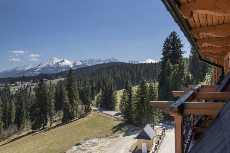 Widok na góry i las z drewnianego tarasu. Tatry, Polska.