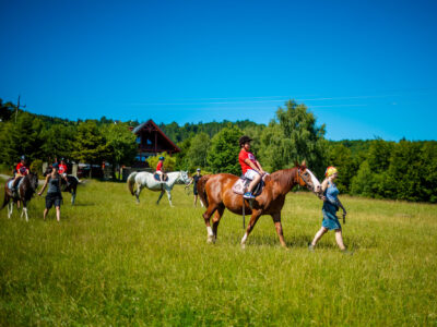 Jazda konna na zielonej łące. Dzieci na koniach, piękna pogoda.