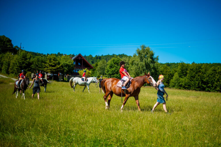 Jazda konna na zielonej łące. Dzieci na koniach, piękna pogoda.